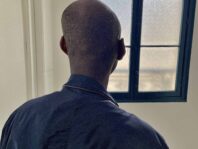 {{brizy_dc_image_alt entityId=