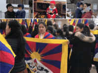 {{brizy_dc_image_alt entityId=