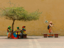 {{brizy_dc_image_alt entityId=